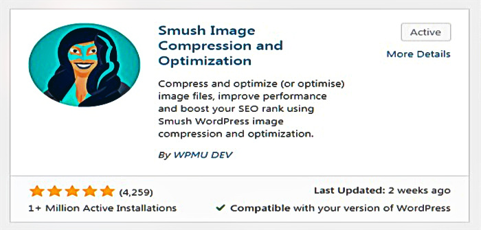 Smush | Plugins | DS Web Design Plus